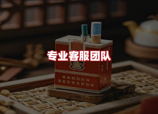 专业团队